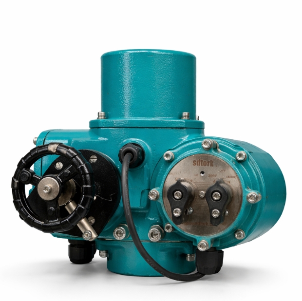 FSD-1001- 10 / 20-Ex with Local Control Station